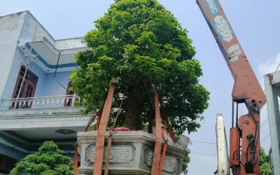 xe cẩu quảng ngãi xe cẩu quảng ngãi