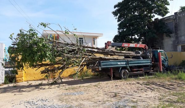 cho thuê xe cẩu hàng quảng ngãi cho thuê xe cẩu hàng quảng ngãi